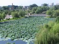 Albums/20060800-China Aug 2006/20060804-Shenyang University/5
